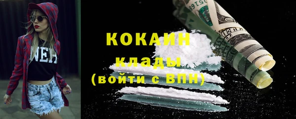 прущие грибы Нефтекумск
