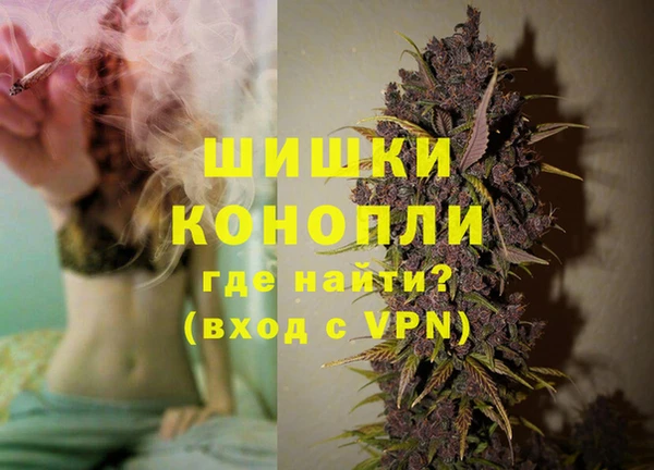 прущие грибы Нефтекумск