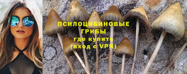ГАЛЛЮЦИНОГЕННЫЕ ГРИБЫ Нея
