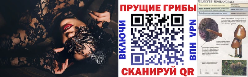 Псилоцибиновые грибы Psilocybine cubensis  сколько стоит  Первомайск 